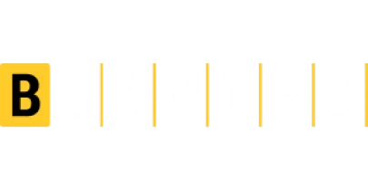 भागीदार जो baji के साथ काम करते हैं