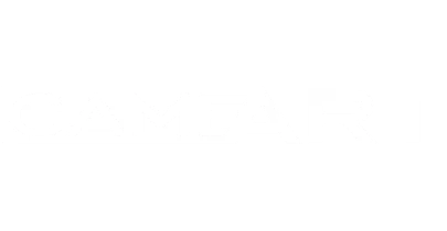 भागीदार जो baji के साथ काम करते हैं