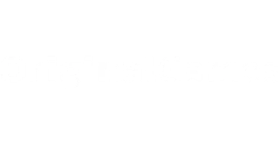 partners who work with baji